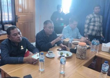 Kunjungi BJA, Mikson: Investasi Harus Sesuai Regulasi dan Tidak Merugikan Masyarkat