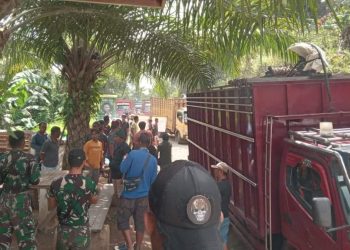 Penertiban Ilegal Logging oleh Manajemen PT. LIL di Pos 23