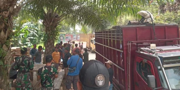 Penertiban Ilegal Logging oleh Manajemen PT. LIL di Pos 23