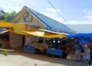 Penambang Lokal Pohuwato: Penggerak Ekonomi dan Sosial Masyarakat