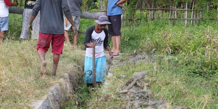 Karang Taruna Kecamatan Paguat Berkolaborasi Angkat Lumpur di Irigasi Areal Persawahan