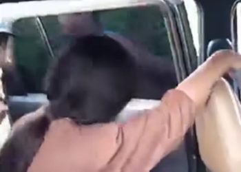 Komplotan Maling di Kayubulan Diciduk Warga, Satu Pelaku Kabur