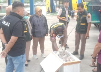 Petugas Gabungan Amankan Aneka Hewan Siap Konsumsi di Pelabuhan Gorontalo