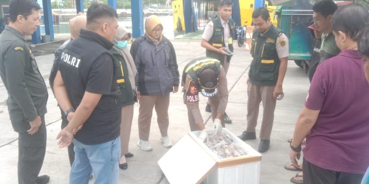 Petugas Gabungan Amankan Aneka Hewan Siap Konsumsi di Pelabuhan Gorontalo