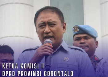 Mikson Yapanto:   Investor yang Masuk Harus Berikan Dampak Positif Bagi Masyarakat