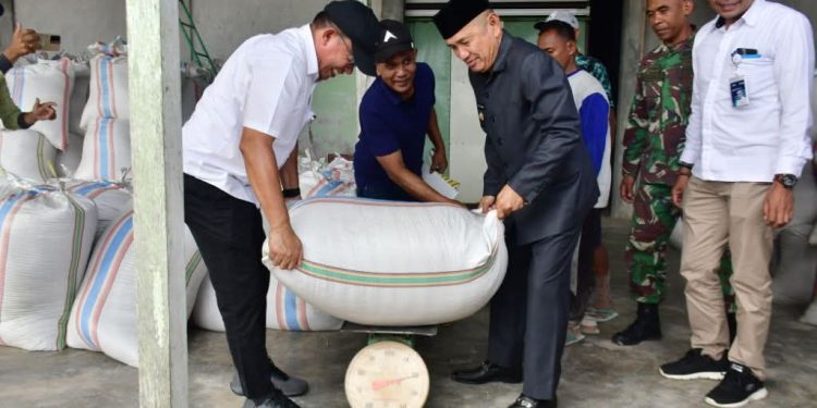 Komitmen Bupati Pohuwato: Pastikan Hasil Panen Petani Terserap Baik