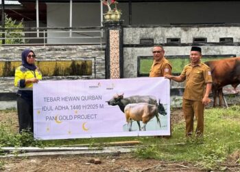 PGP Bagikan 26 Sapi Qurban Ke Desa-Desa Dan Stakeholder