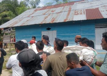 Penambang Ilegal Tewas Tertimpa Batu di PETI Potabo, Pohuwato