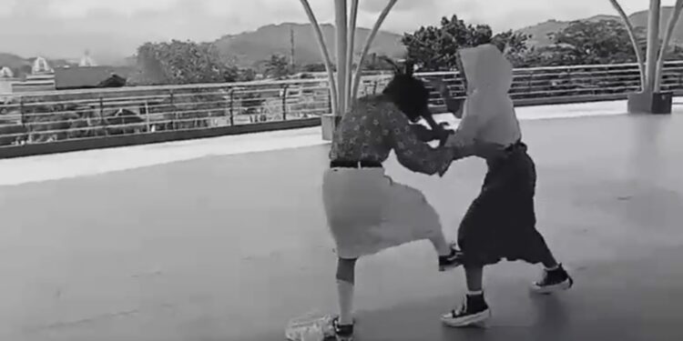 Dua Siswi SDN  Limboto Berkelahi Gegara Aplikasi TikTok