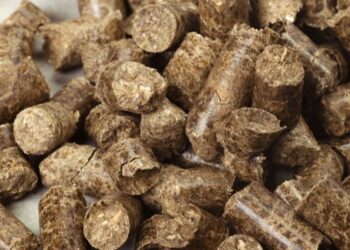Penuhi SVLK, Produk Wood Pellet Indonesia Dijamin Legalitas dan Kelestariannya