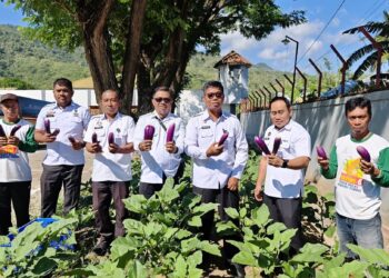 Lapas Gorontalo Panen Sayuran Segar, Dorong Produktivitas dan Wujudkan Kemandirian Pangan