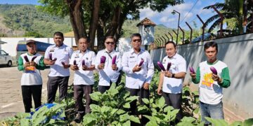 Lapas Gorontalo Panen Sayuran Segar, Dorong Produktivitas dan Wujudkan Kemandirian Pangan