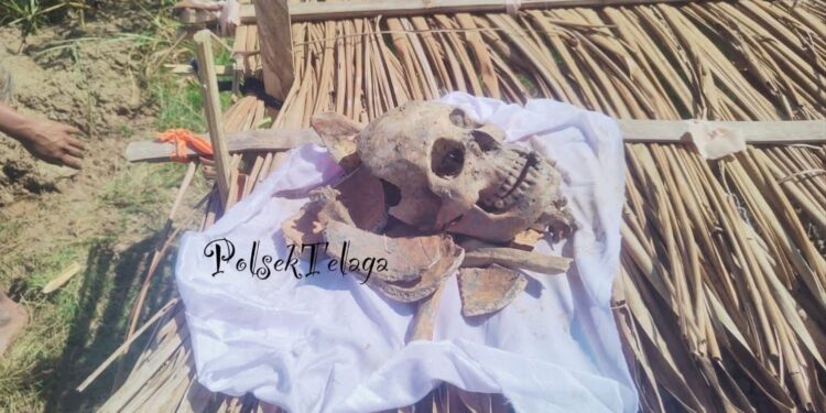 Warga Tilango Dihebohkan Penemuan Tengkorak Manusia di Danau Limboto