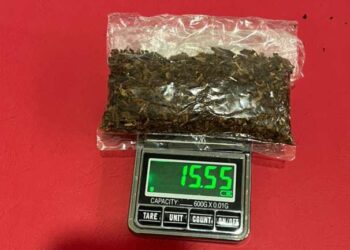 Pemuda di Pohuwato Ditangkap Polisi Edarkan Tembakau Gorilla