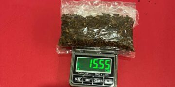 Pemuda di Pohuwato Ditangkap Polisi Edarkan Tembakau Gorilla