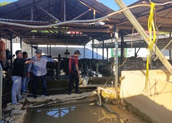 Mikson Yapanto Bongkar Dugaan Pengolahan Emas Ilegal di Bone Bolango