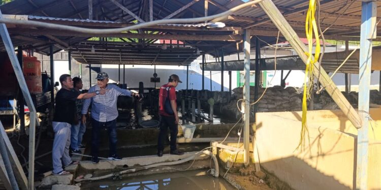 Mikson Yapanto Bongkar Dugaan Pengolahan Emas Ilegal di Bone Bolango