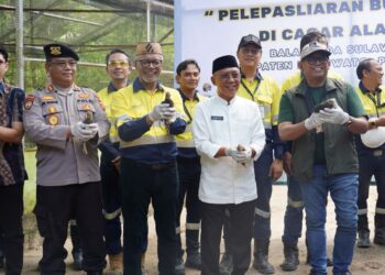 Satwa Terancam Punah Di Pohuwato: Merdeka Gold Resources Konservasi Burung Maleo