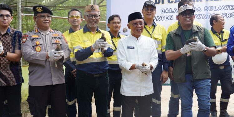 Satwa Terancam Punah Di Pohuwato: Merdeka Gold Resources Konservasi Burung Maleo