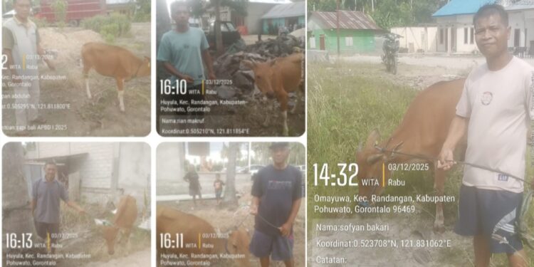 Dorong Ekonomi Rakyat, Ketua Komisi II DPRD Gorontalo Berikan Bantuan Ternak Sapi