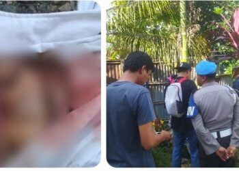 Geger! Mayat Bayi Ditemukan Warga Terkubur di Bungkus Jaket di Desa Kayu Merah, Polisi Lakukan Penyelidikan